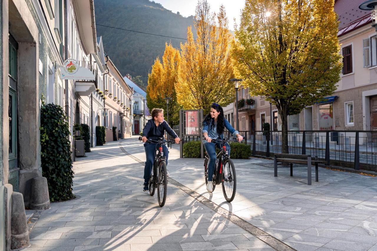Dvorec Trebnik - Sobe Slovenske Konjice Exteriör bild