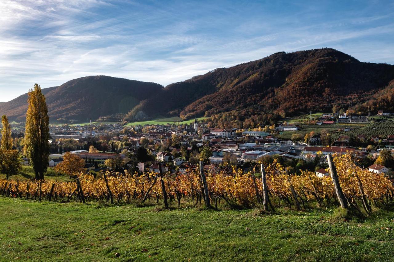 Dvorec Trebnik - Sobe Slovenske Konjice Exteriör bild