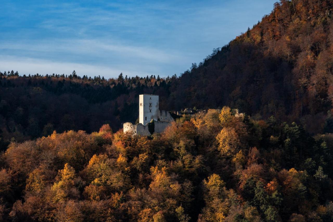 Dvorec Trebnik - Sobe Slovenske Konjice Exteriör bild