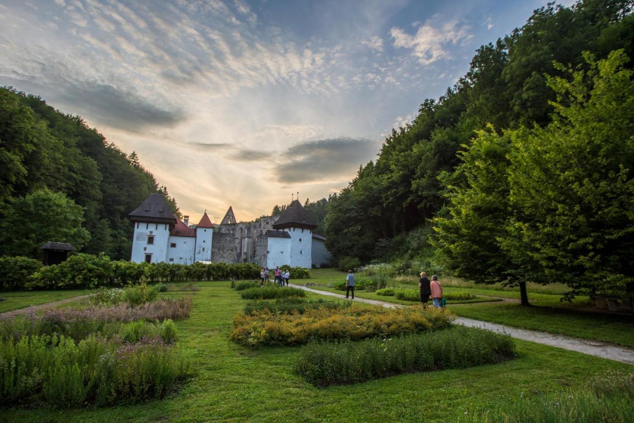 Dvorec Trebnik - Sobe Slovenske Konjice Exteriör bild