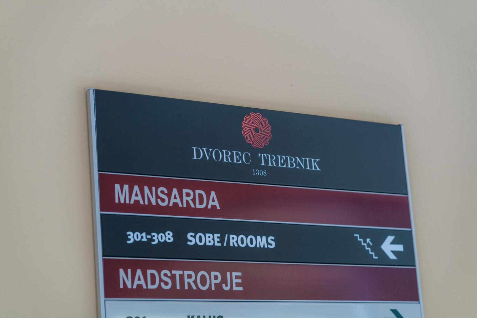Dvorec Trebnik - Sobe Slovenske Konjice Exteriör bild